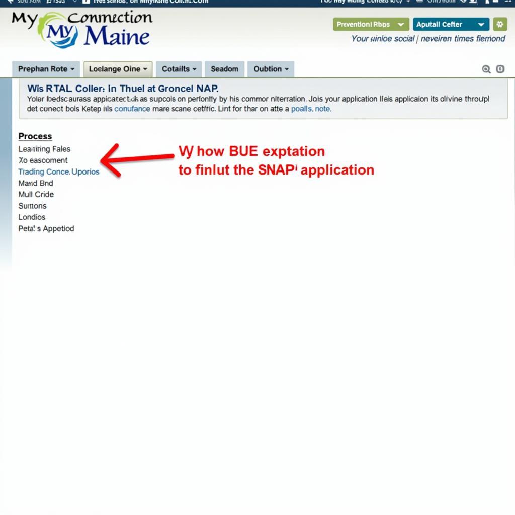 Applying for SNAP Online in Maine