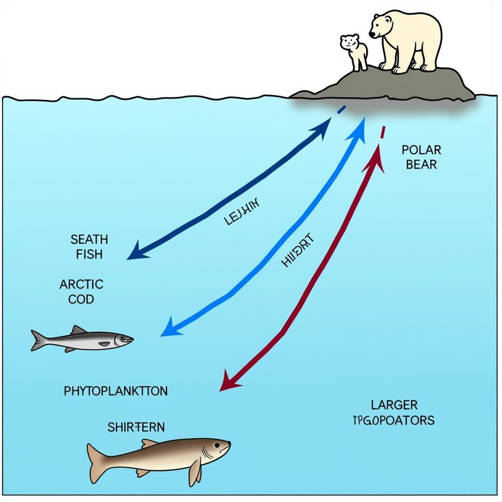 Arctic Food Web Diagram