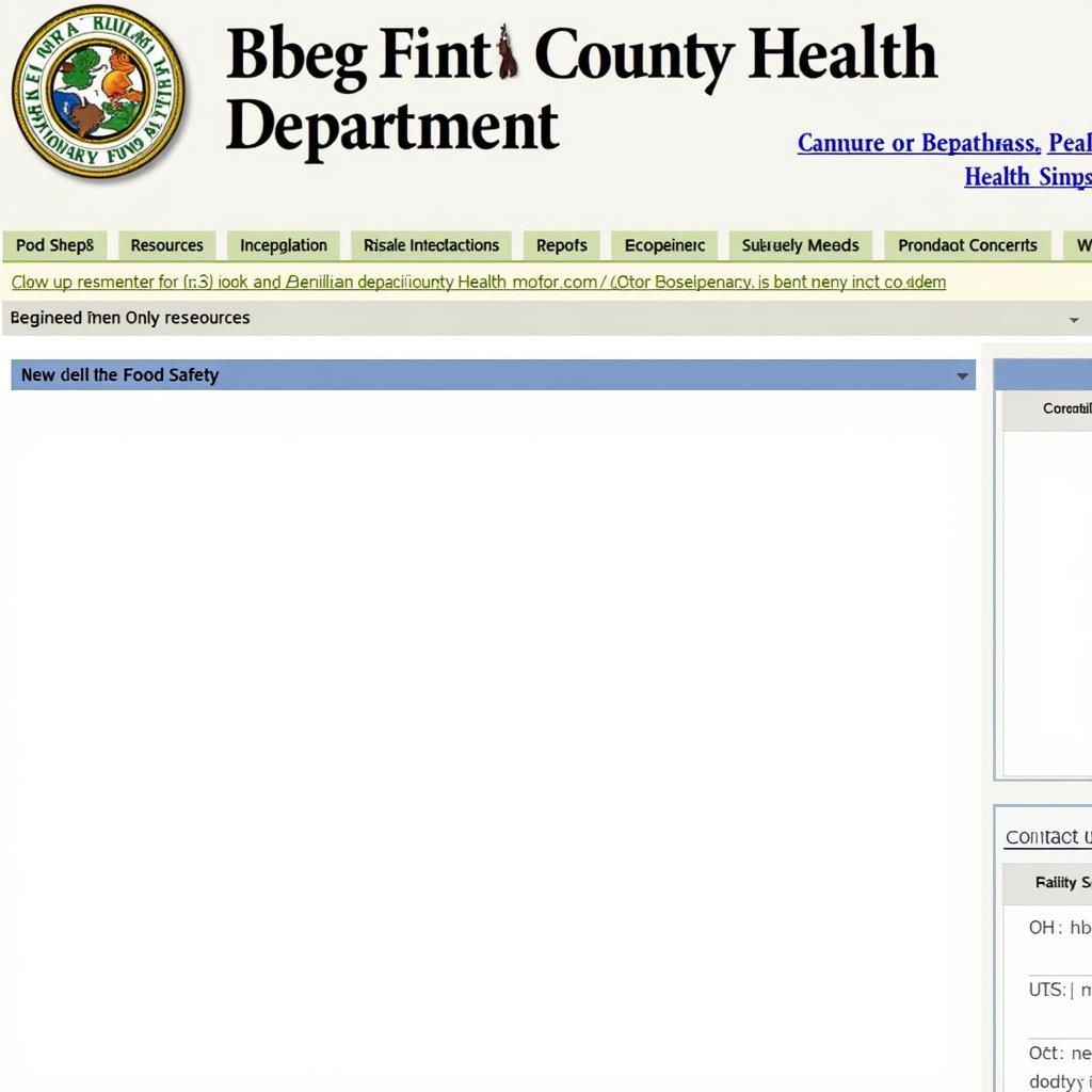 Berks County Health Department Website Screenshot