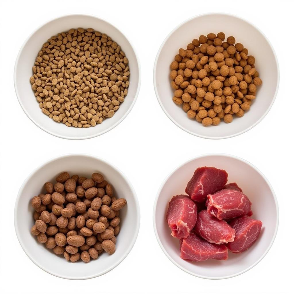 Different types of bison dog food: kibble, wet food, and raw.