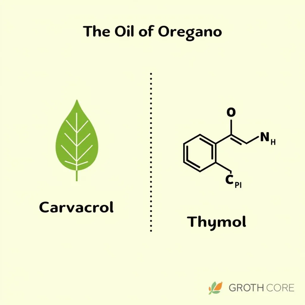 Chemical Structures of Carvacrol and Thymol