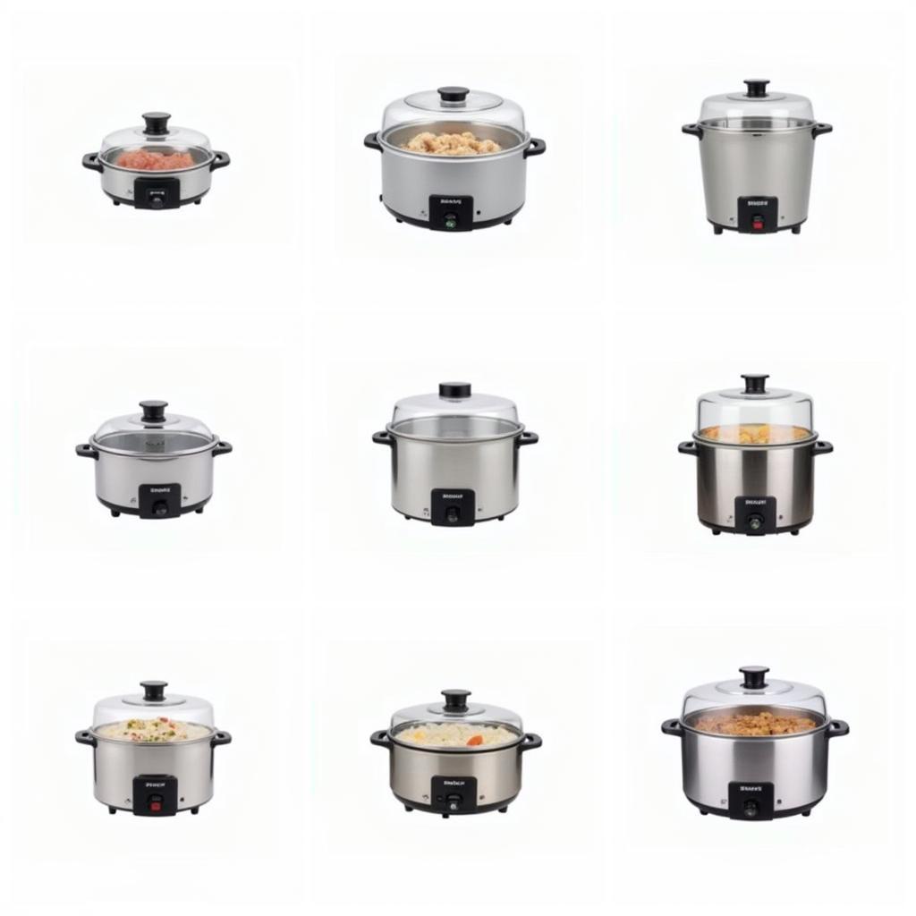 Various styles of electric food steamers