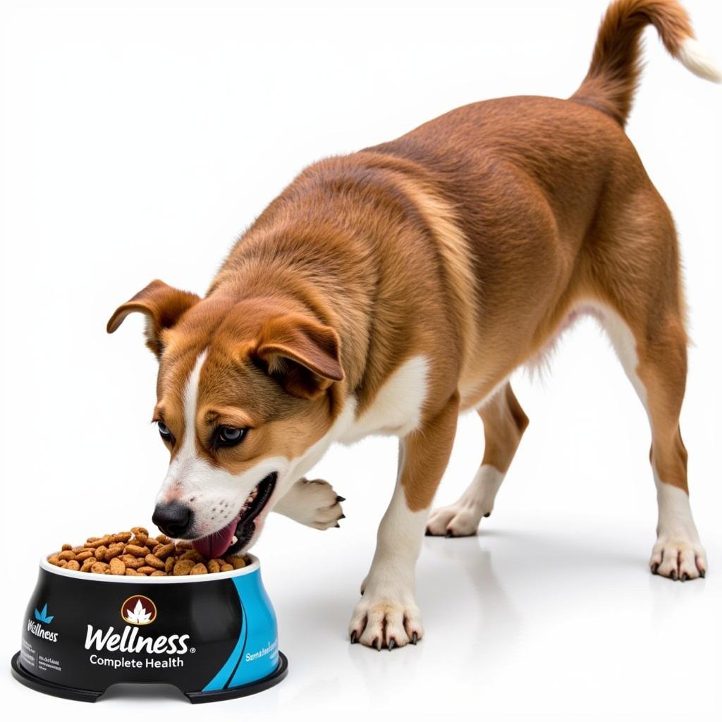 Happy Dog Enjoying Wellness Salmon Dog Food