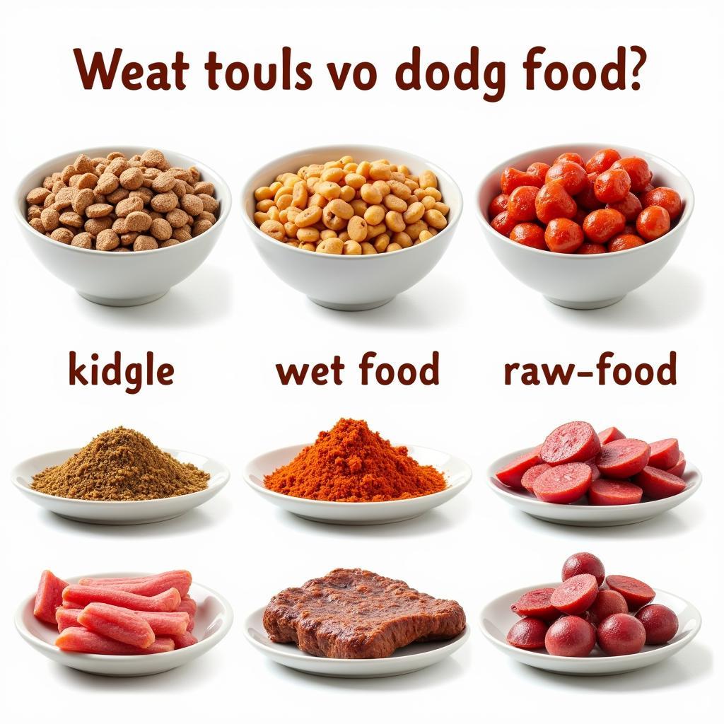 Comparing Different Types of Dog Food