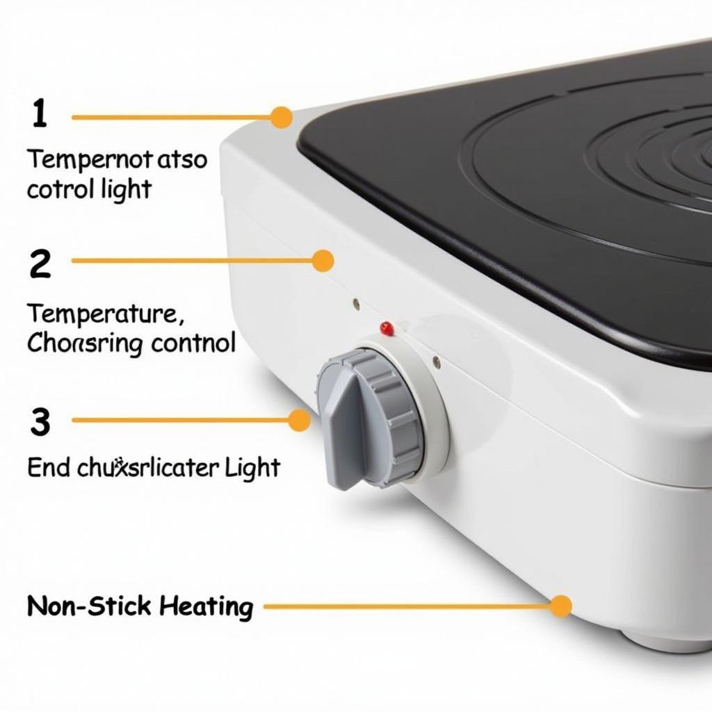 Essential Features of a Flat Food Warmer