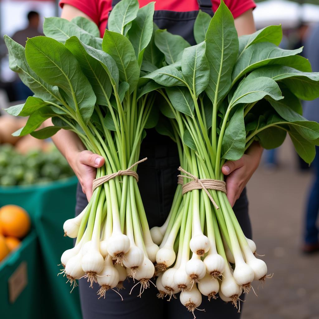 Fresh ramps bundled and ready for sale at a local farmers' market