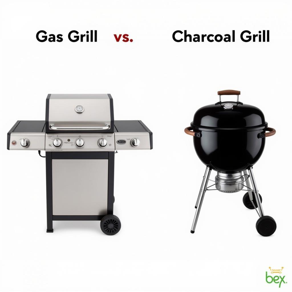 Gas and Charcoal Grill Comparison