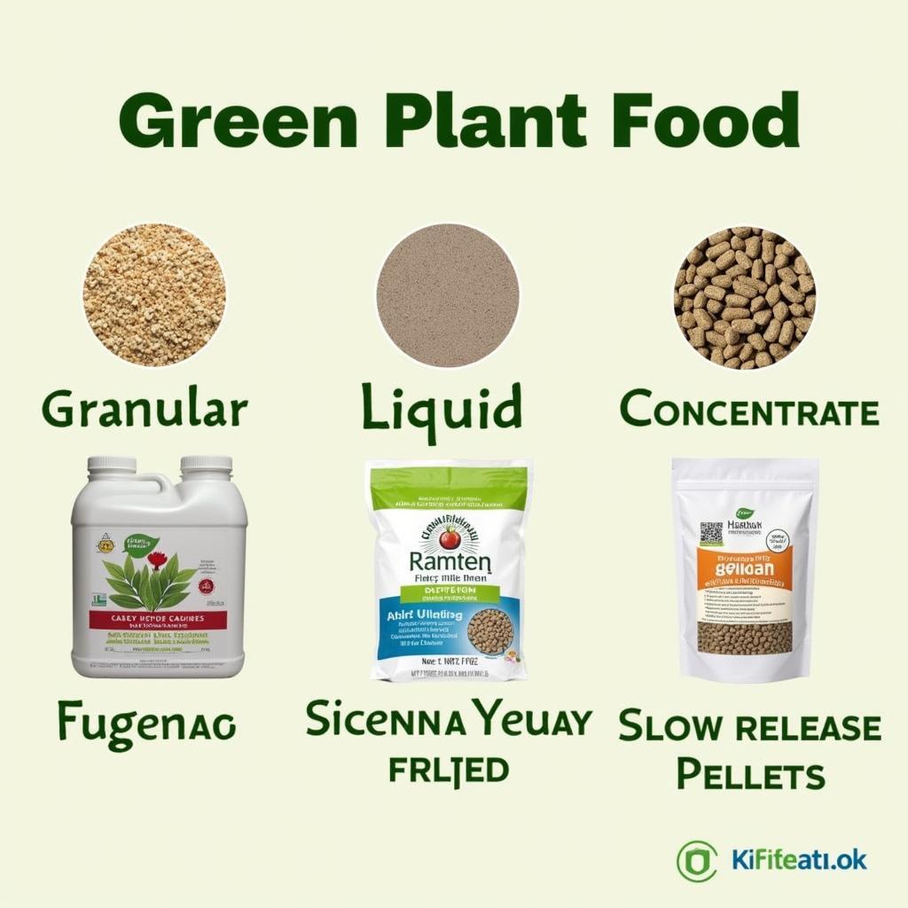 Types of Green Plant Food