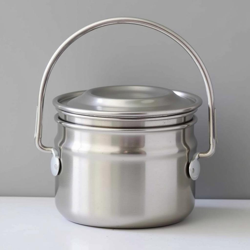 Stainless steel mermite insulated food container