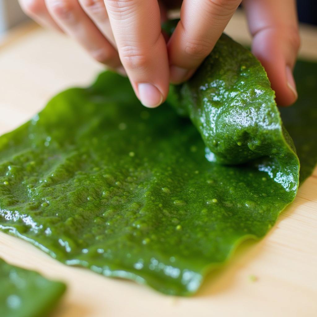 Nori Seaweed Used in Sushi Preparation