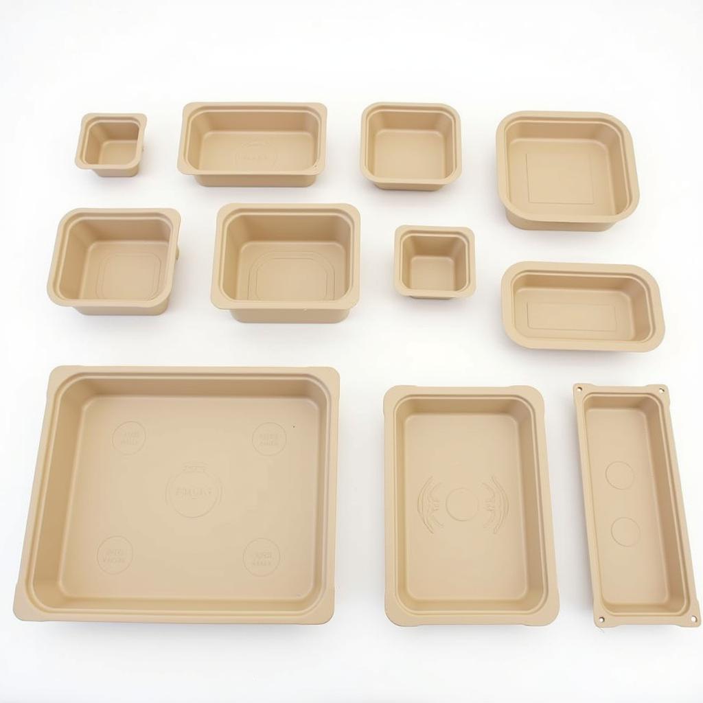 Different Sizes and Shapes of Plastic Food Boxes