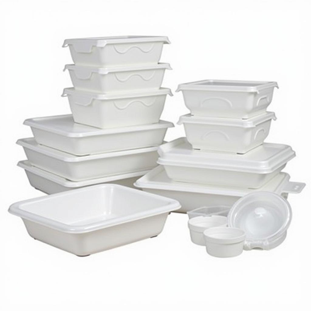 Assortment of plastic food trays with lids