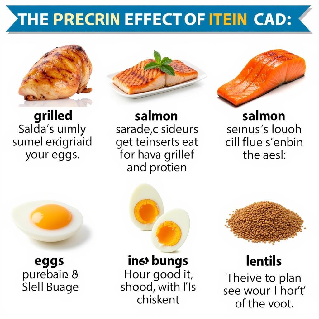 Protein-rich Foods and Their Thermic Effect