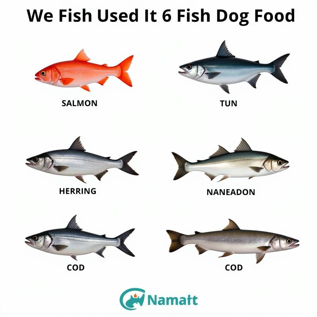 Six Fish Dog Food Ingredients