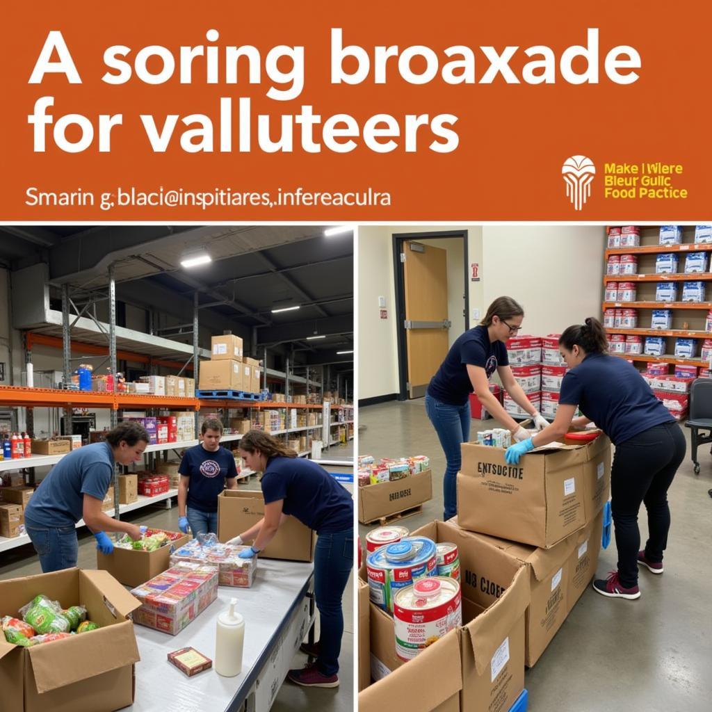 Volunteers Sorting Food Donations at Solid Rock Food Pantry