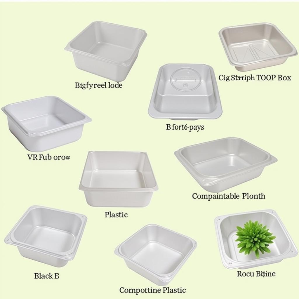 Eco-friendly and Sustainable Clear Food Box Options