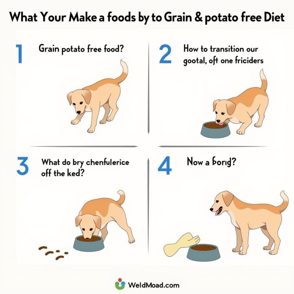 Steps to Transition Your Dog to Grain and Potato-Free Food