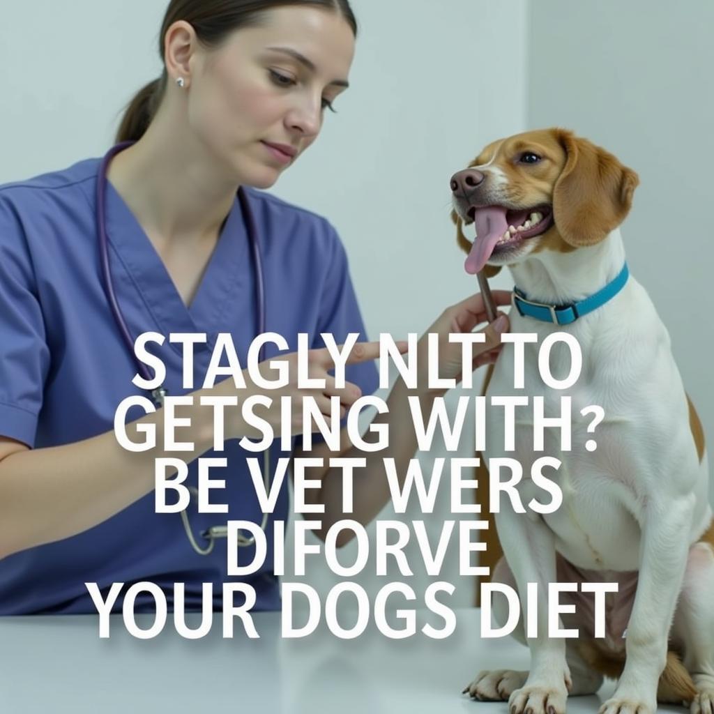 Vet Checkup for Dog's Diet