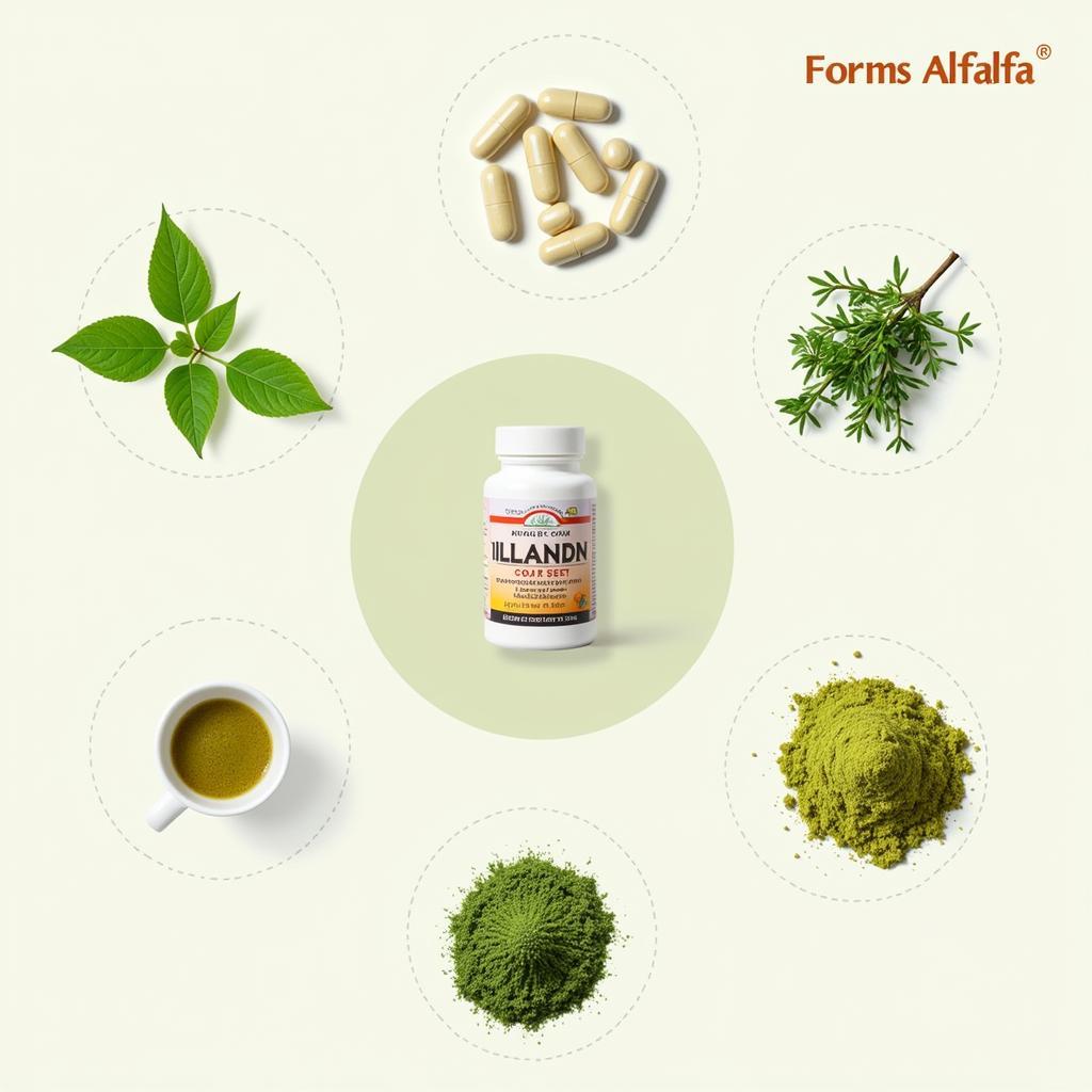 Alfalfa Supplement Options