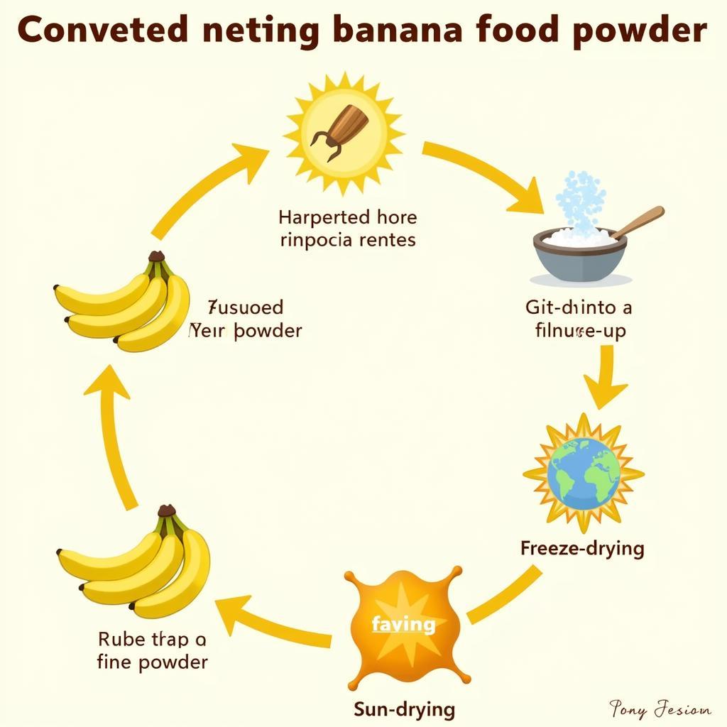 Banana Food Powder Production Process