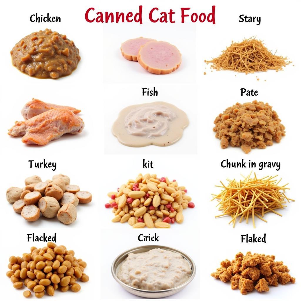 Variety of canned cat food flavors and textures