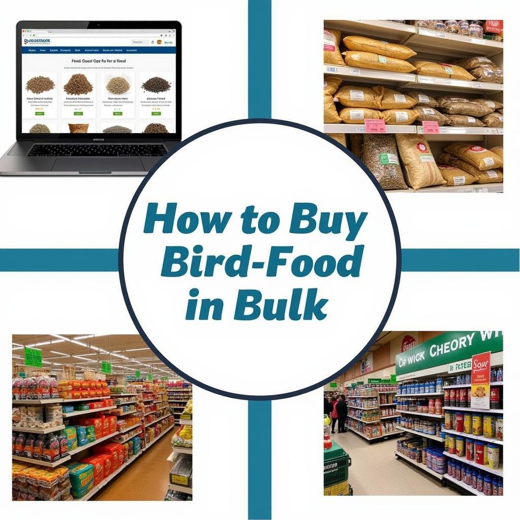 Different places to buy bird food in bulk