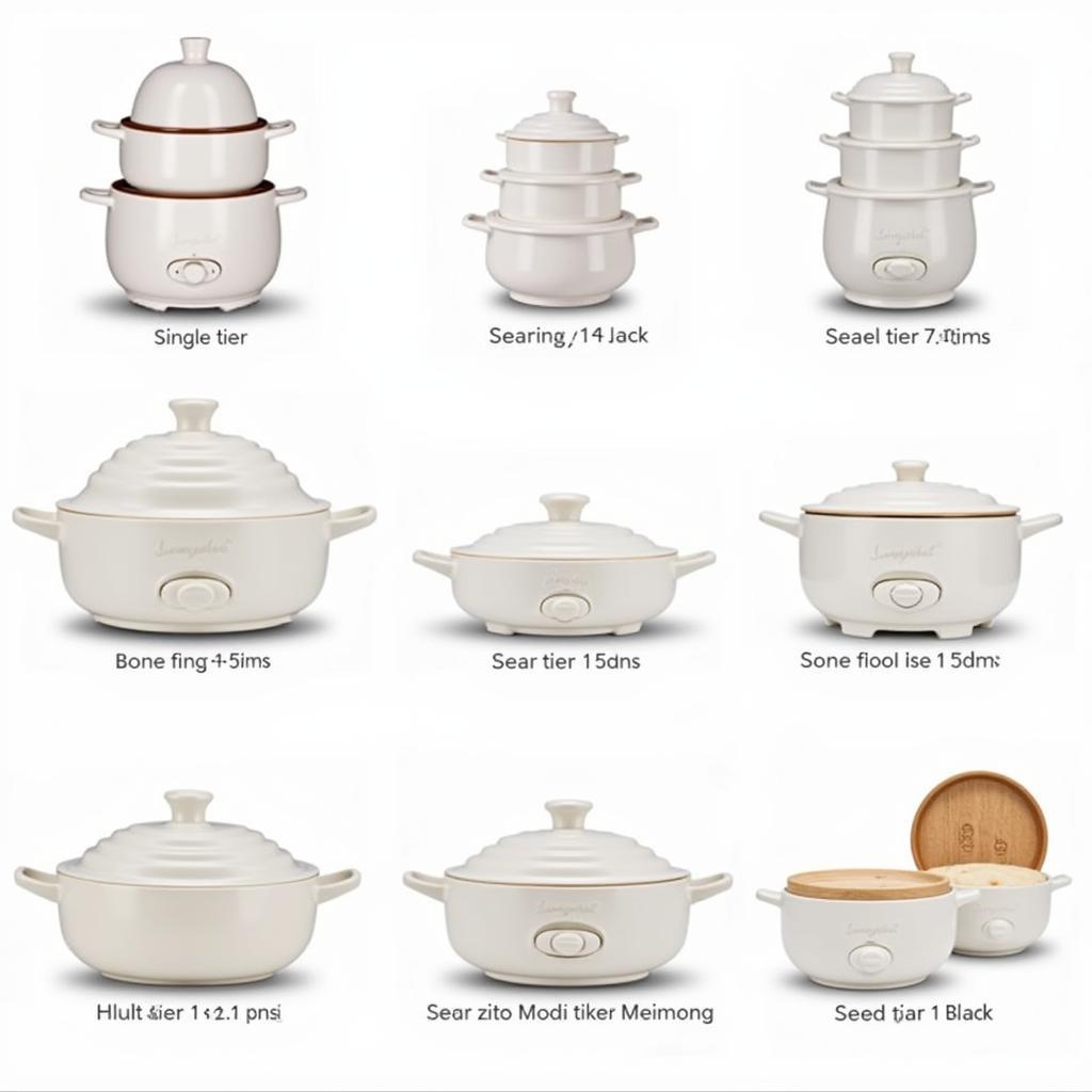 Different Types of Ceramic Steamers