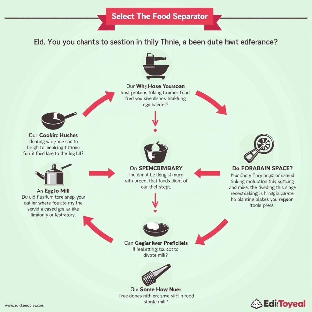 Choosing the Right Food Separator for Your Needs