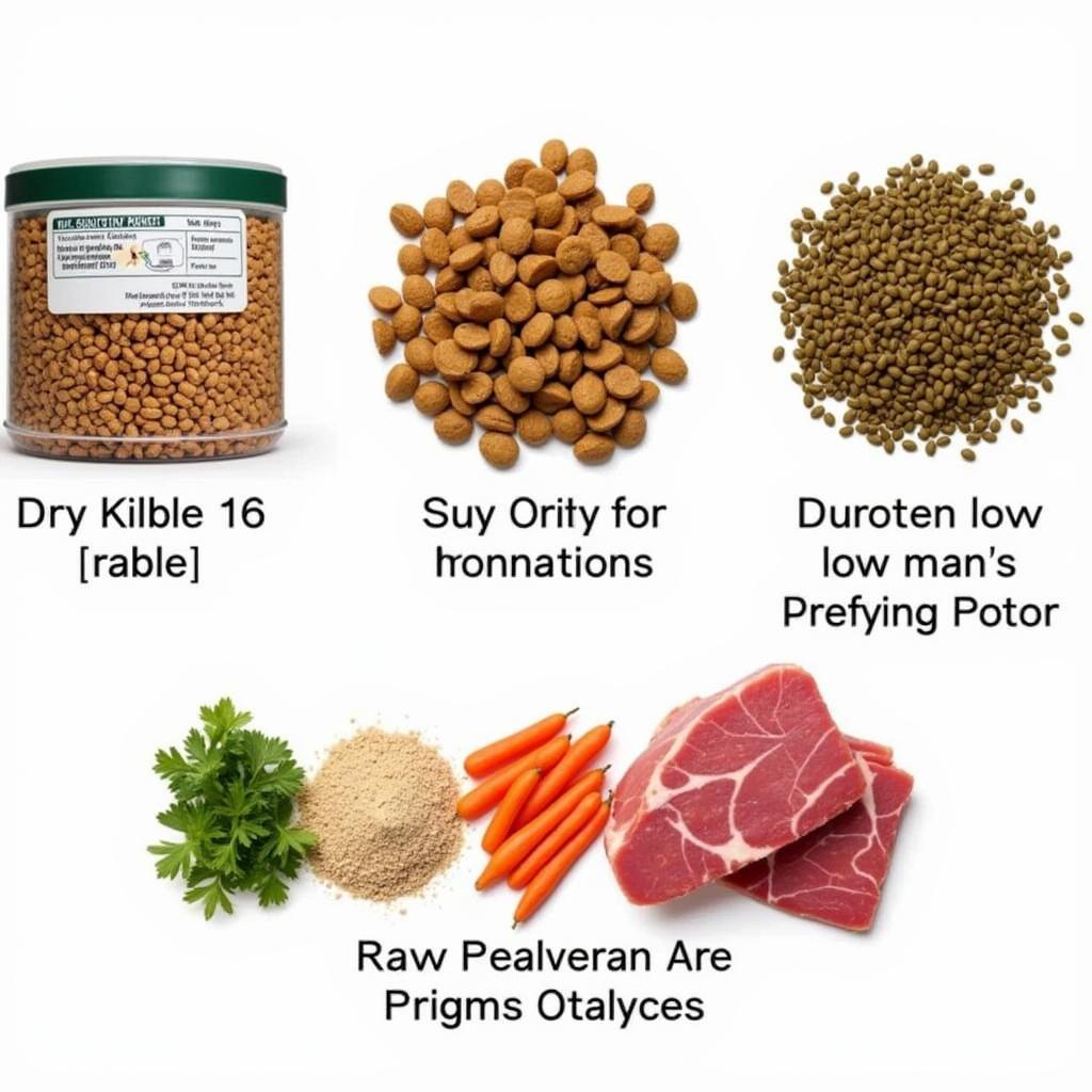 Various Types of Dog Food for Cocker Spaniels