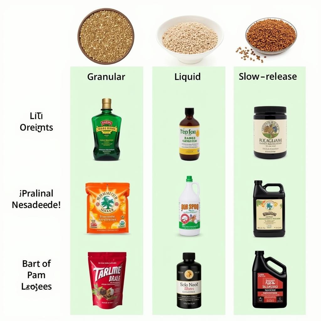 Comparing Different Types of Palm Food