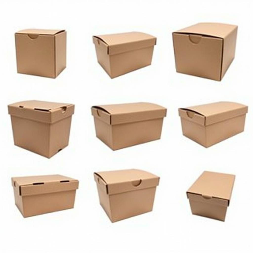 A variety of insulated boxes for food in different sizes and shapes, showcasing options for various needs.