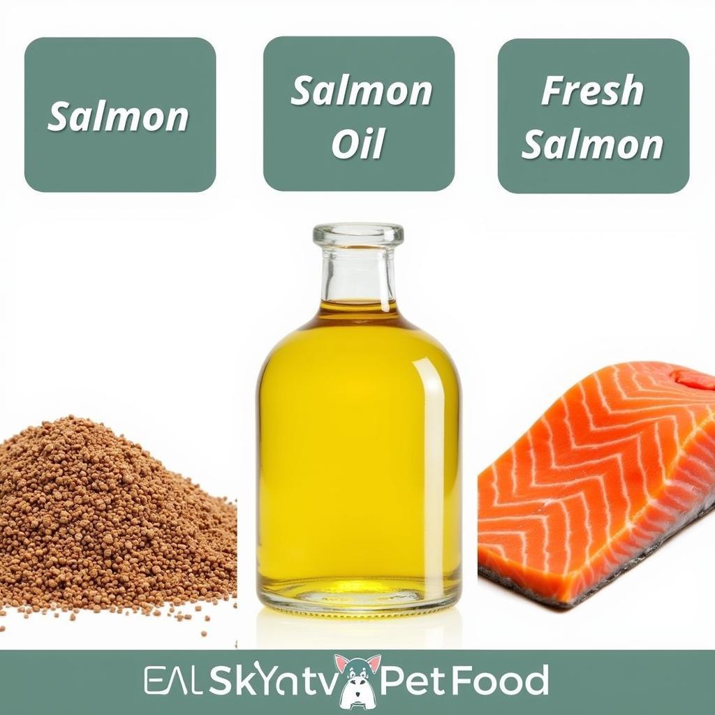 Various forms of salmon used in pet food, including salmon meal, salmon oil, and fresh salmon.