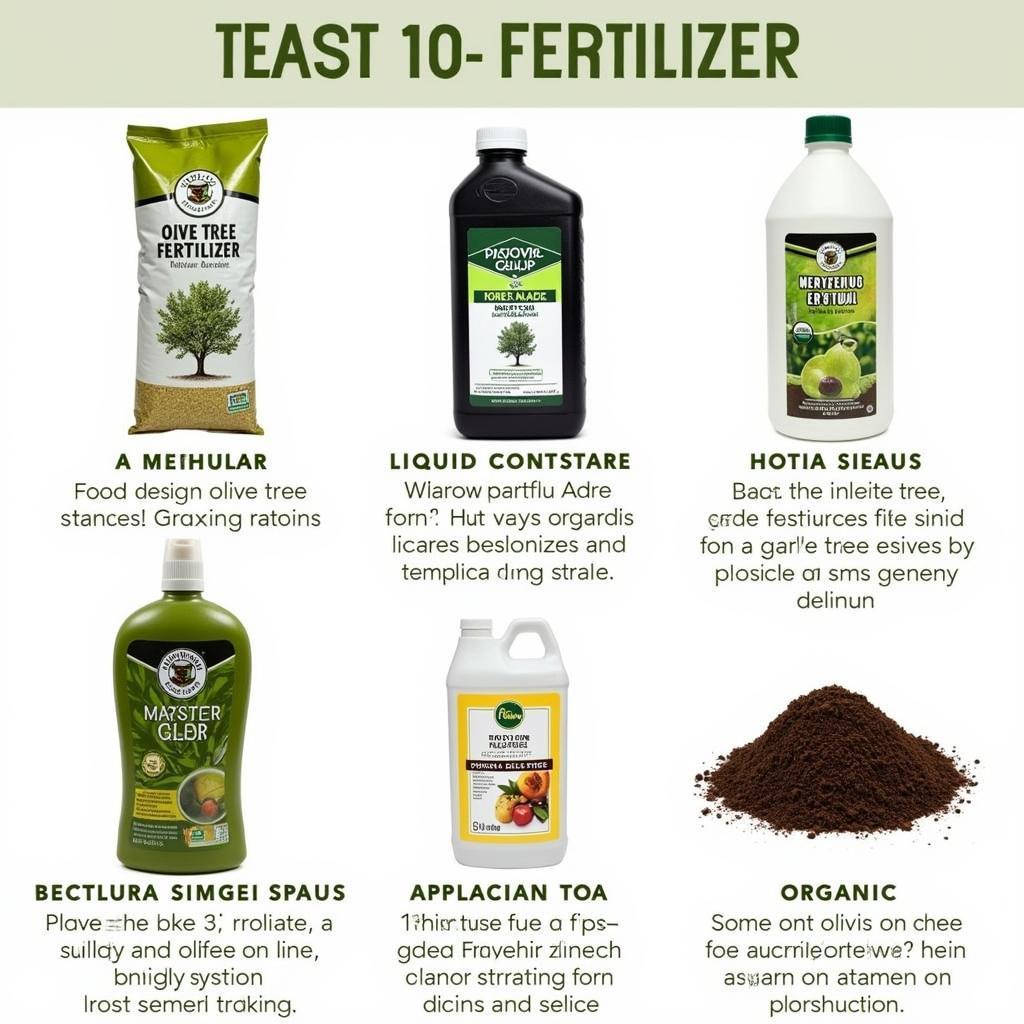 Different Types of Olive Tree Fertilizers