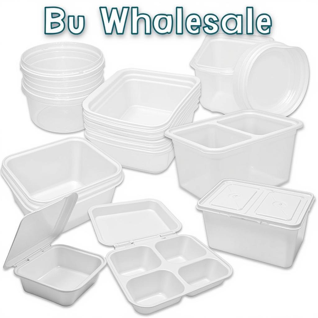 Variety of Disposable Food Storage Containers Wholesale