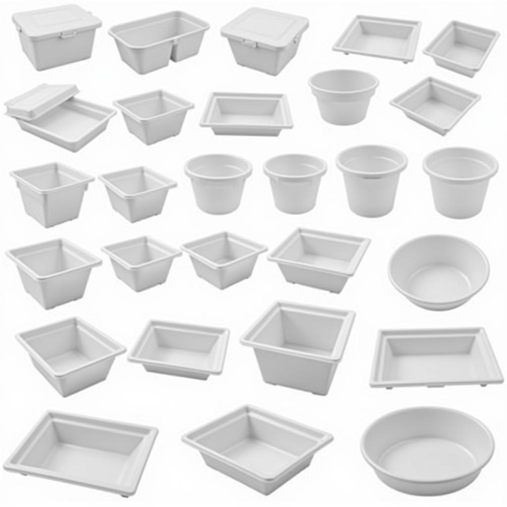 Variety of Disposable Plastic Food Boxes