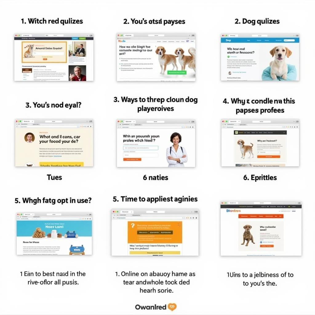 Dog Food Quiz Options Available Online