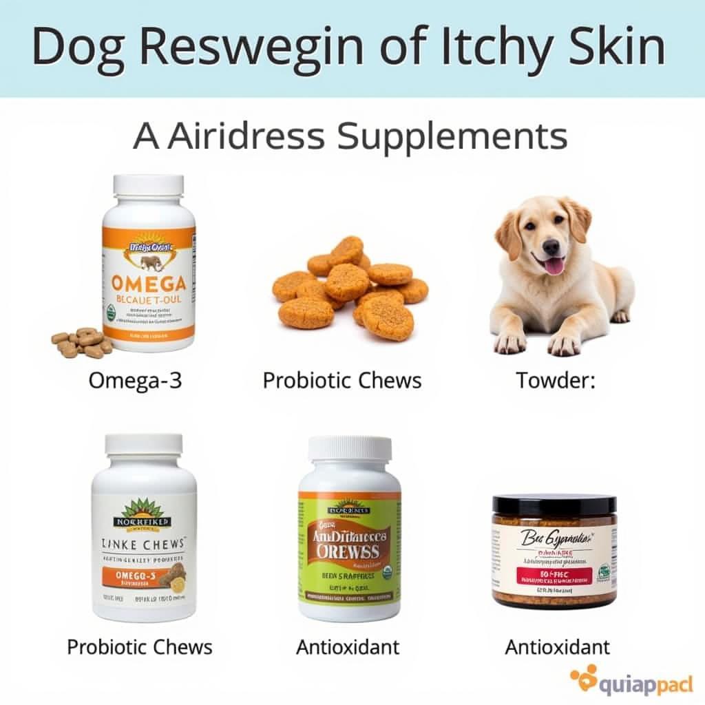 Dog Food Supplements for Itchy Skin: Options Available