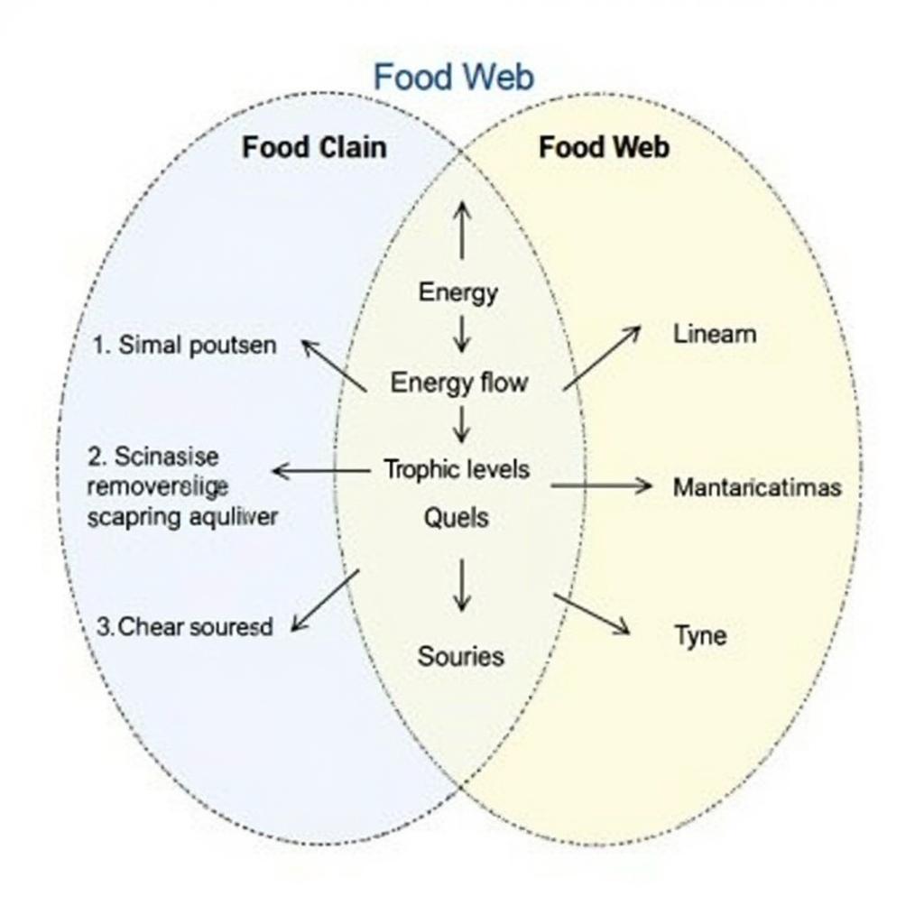 Food Web and Food Chain Venn Diagram