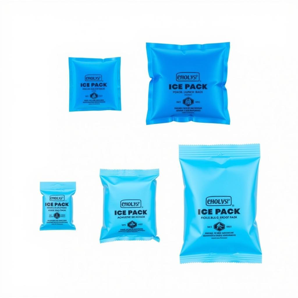 Various Types of Gel Ice Packs for Food