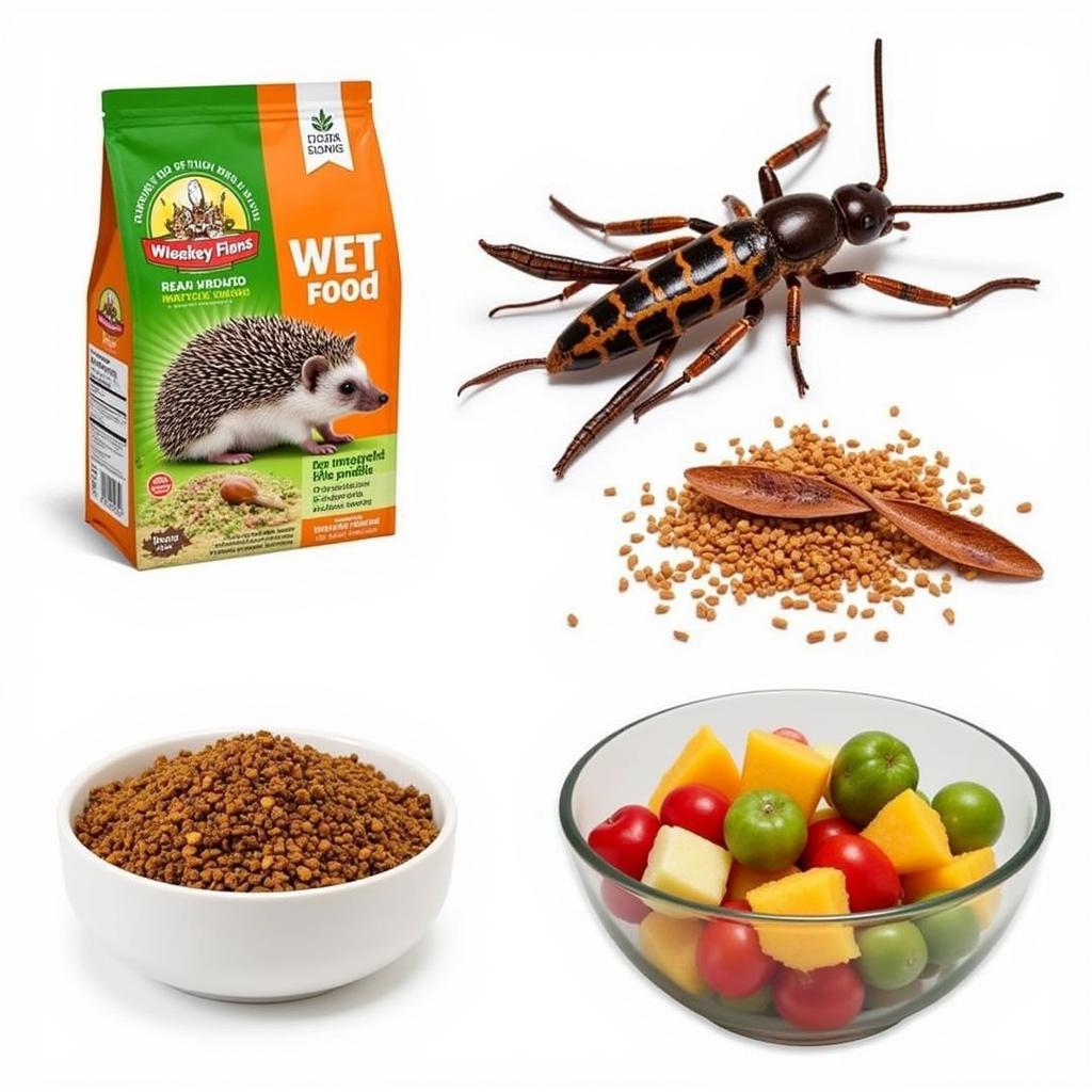 Variety of Hedgehog Food Options