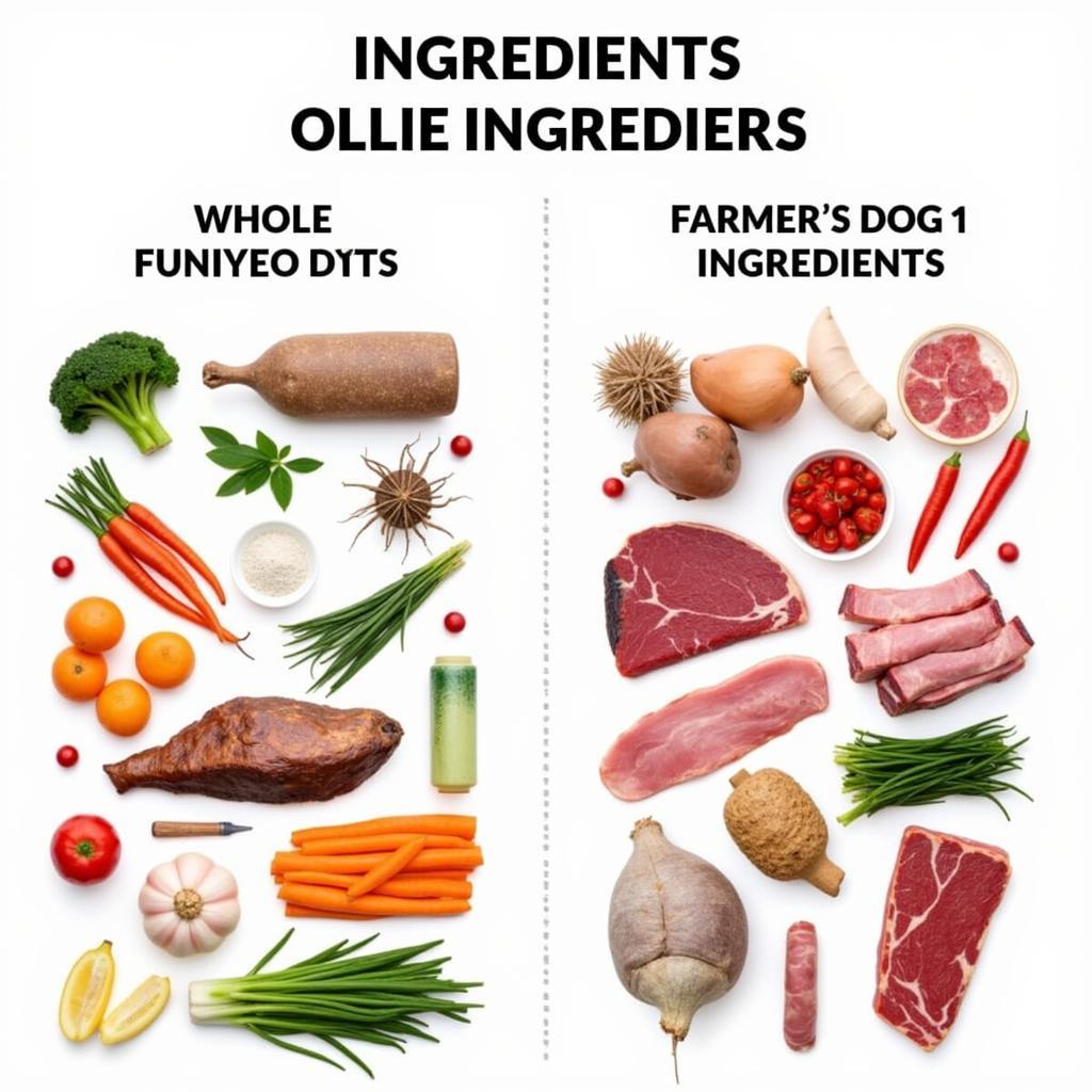 Human-Grade Dog Food Ingredients Comparison