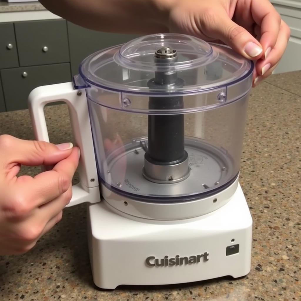 Inspecting a Refurbished Cuisinart Food Processor for Quality