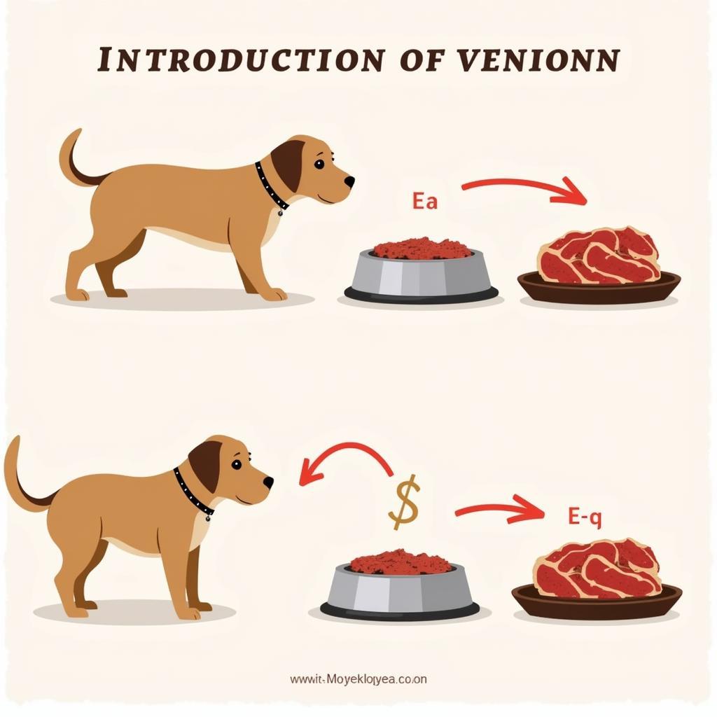 Introducing venison to a dog's diet