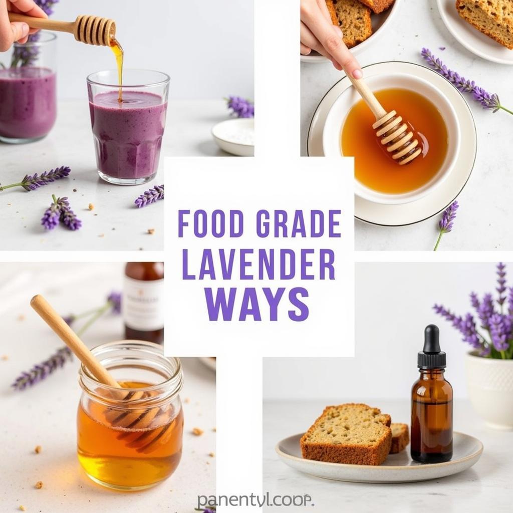 Lavender Oil in Daily Life