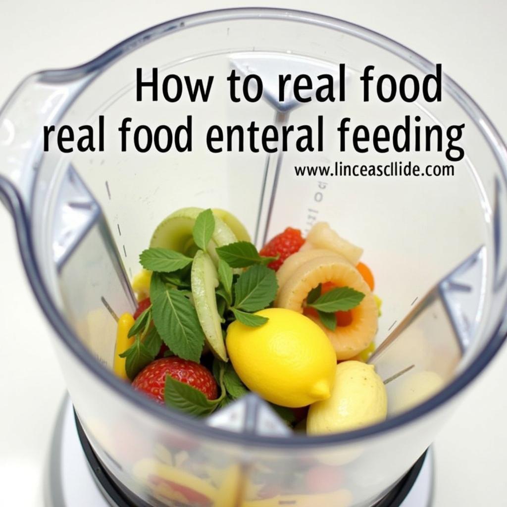 Real Food Enteral Feeding Blending Process