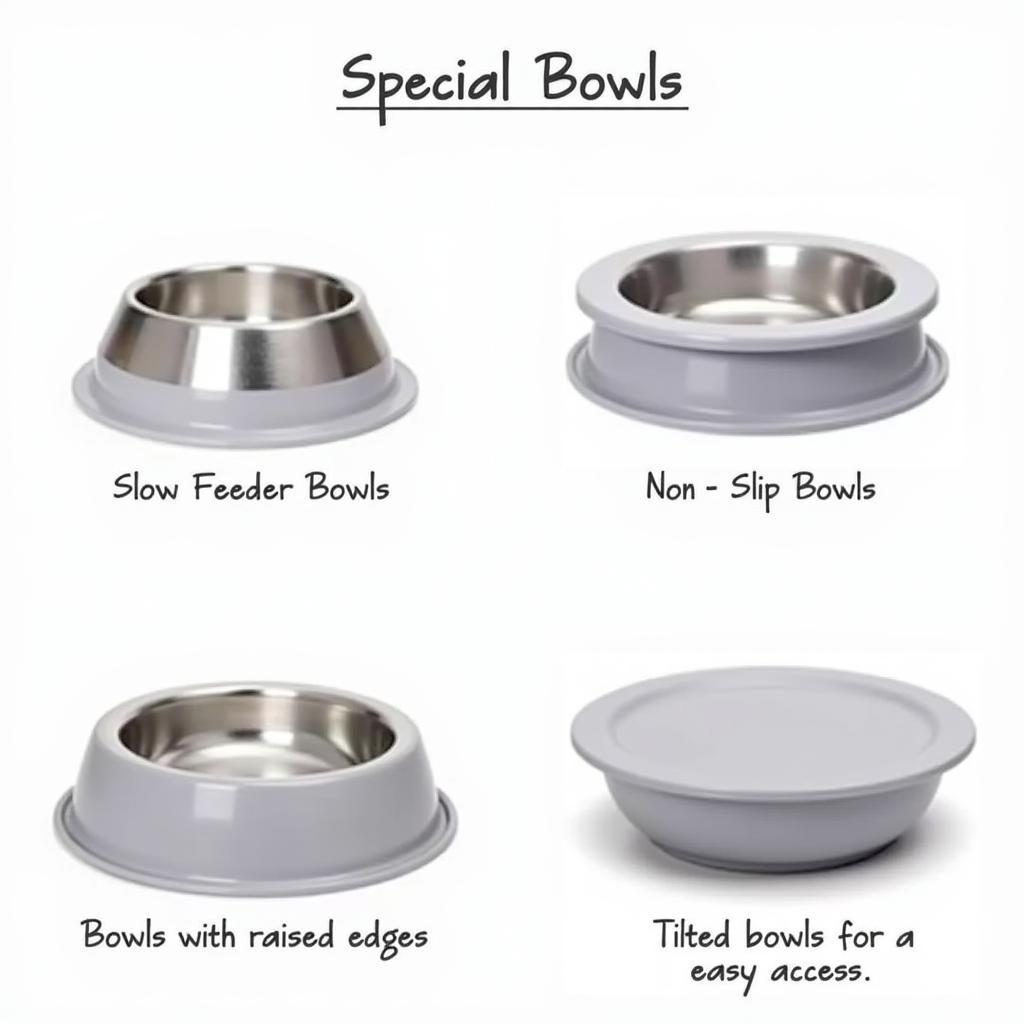 Small Dog Food Bowls with Special Features