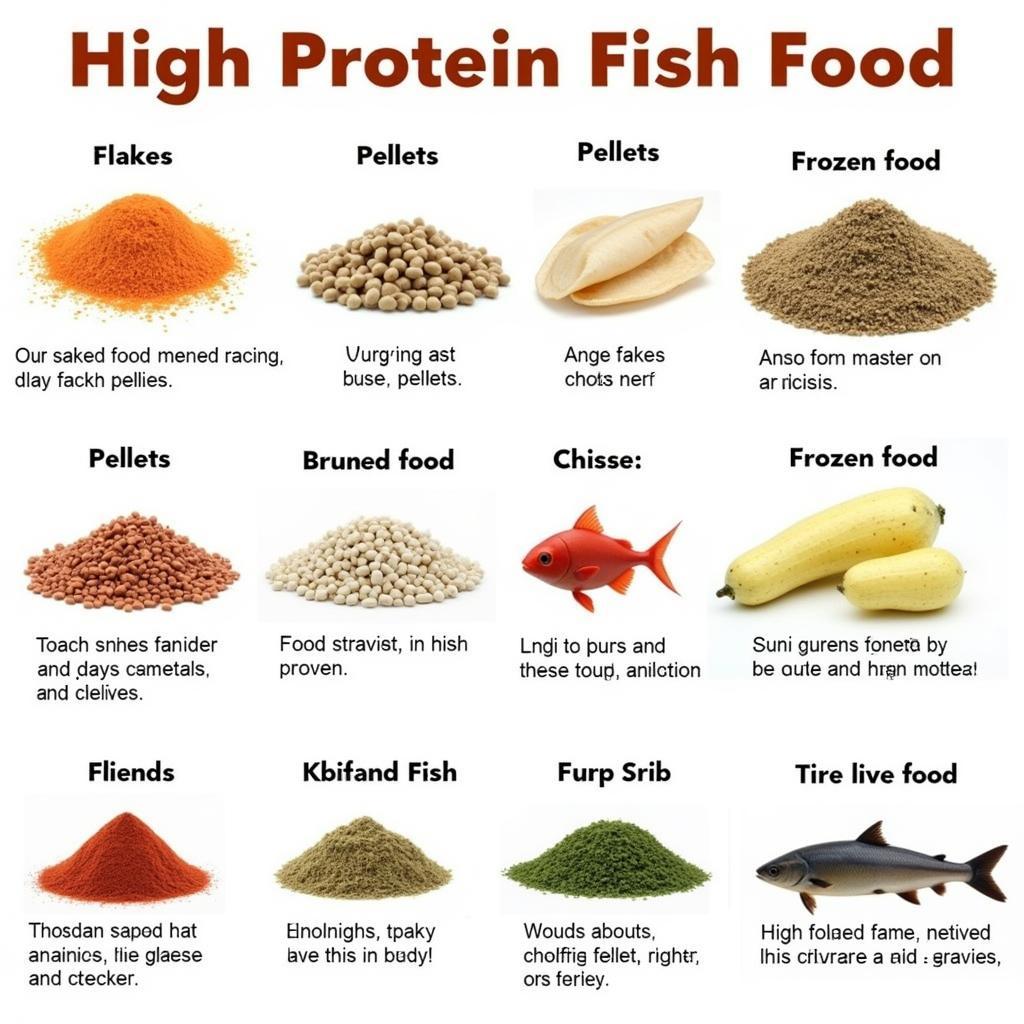 Different Types of High-Protein Fish Food