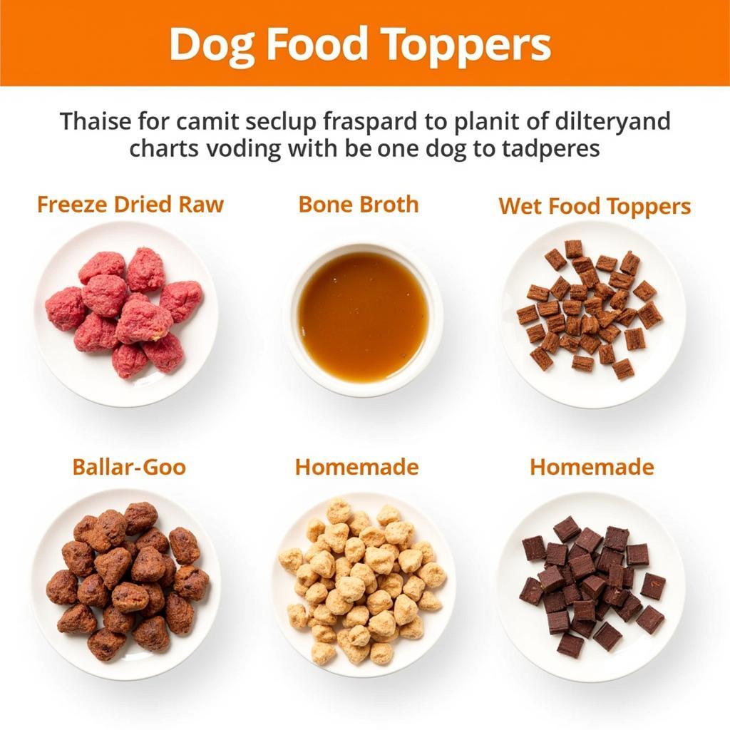 Variety of Dog Food Toppers: Options for Every Need