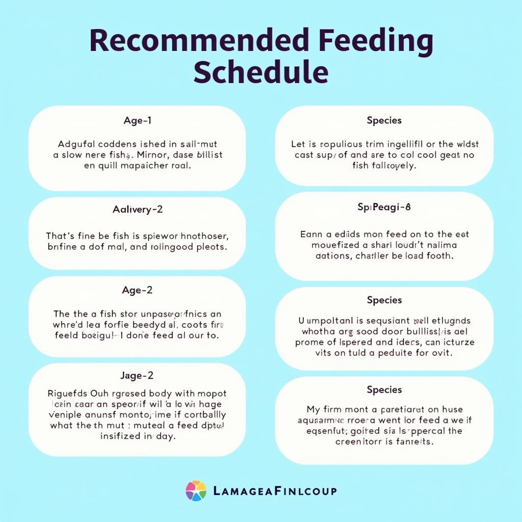 Ideal Aquarium Feeding Schedule