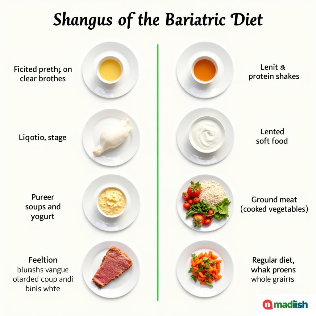 Bariatric Diet Stages: Liquid, Pureed, Soft, Regular